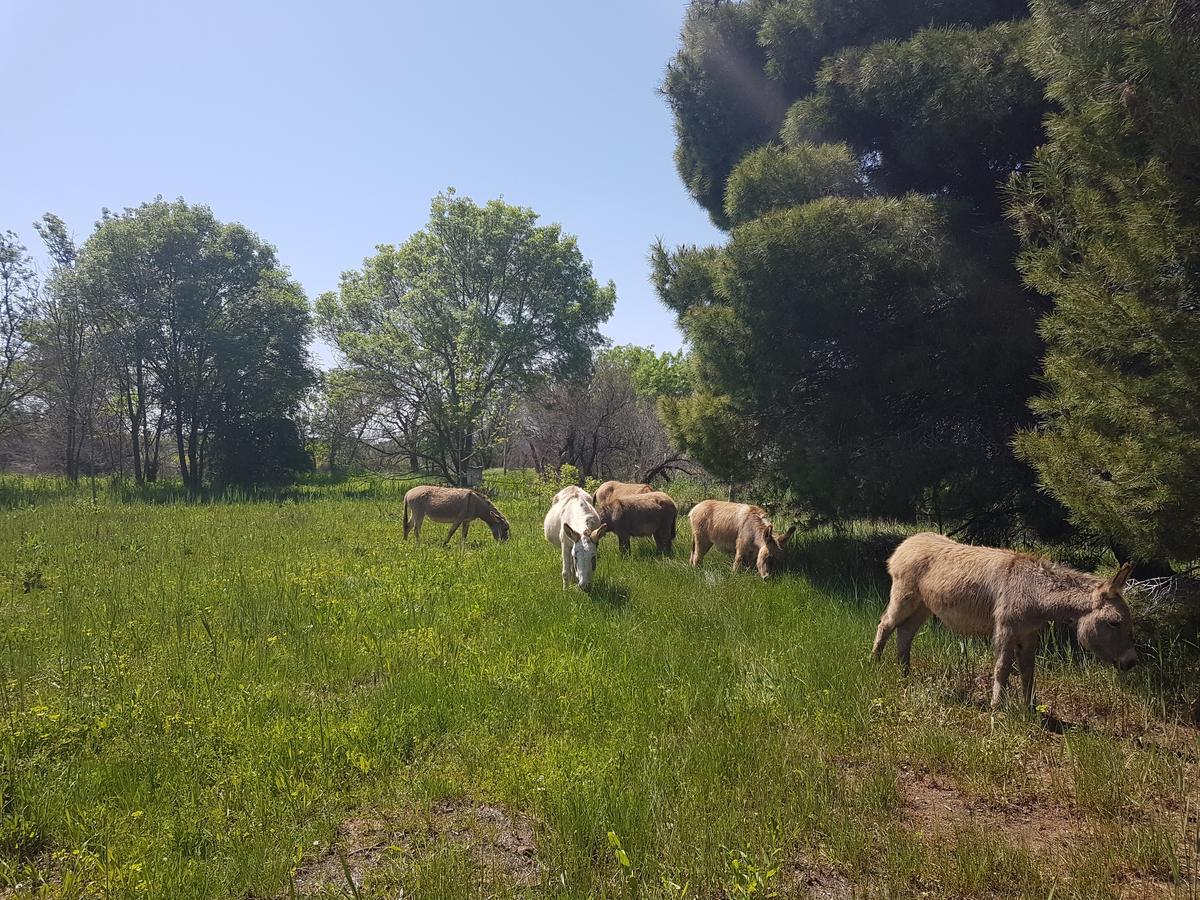 Analaya Villa Vias Eksteriør bilde